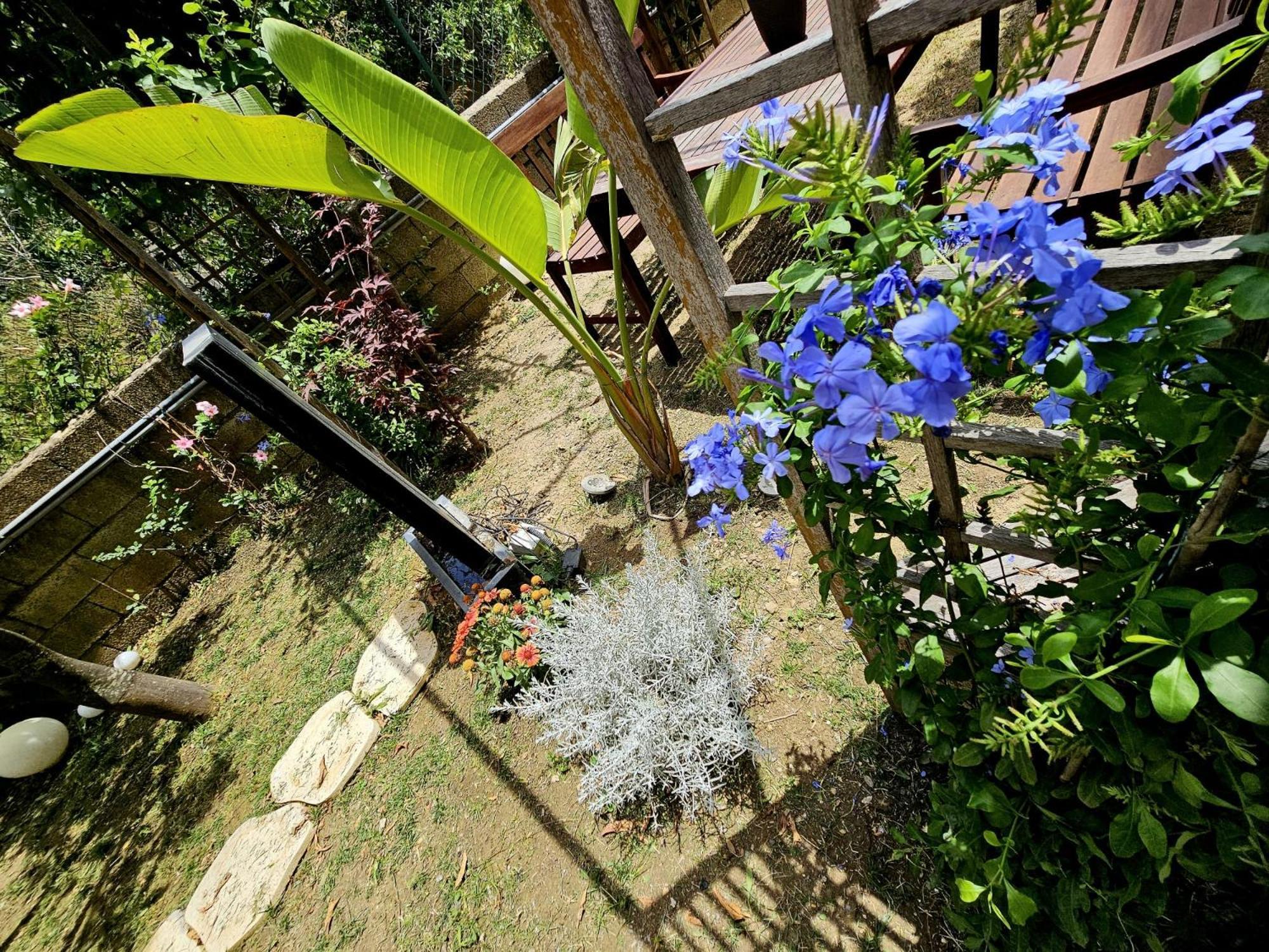 Prestige Casa Vacanze Catanzaro Extérieur photo
